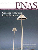 Coprinopsis flowering body on PNAS cover