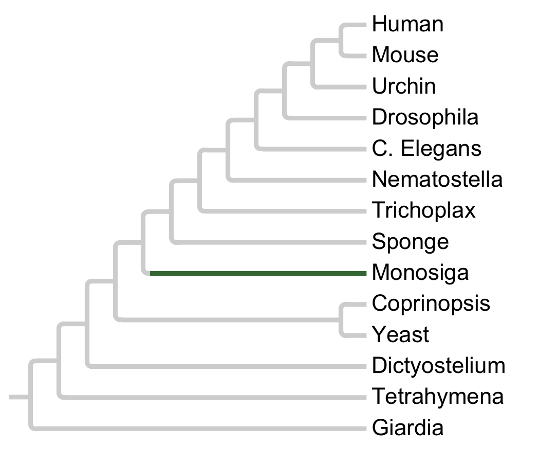 Gains and losses of Family CTKA